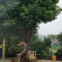 走进非遗 || 竹编里的航天梦